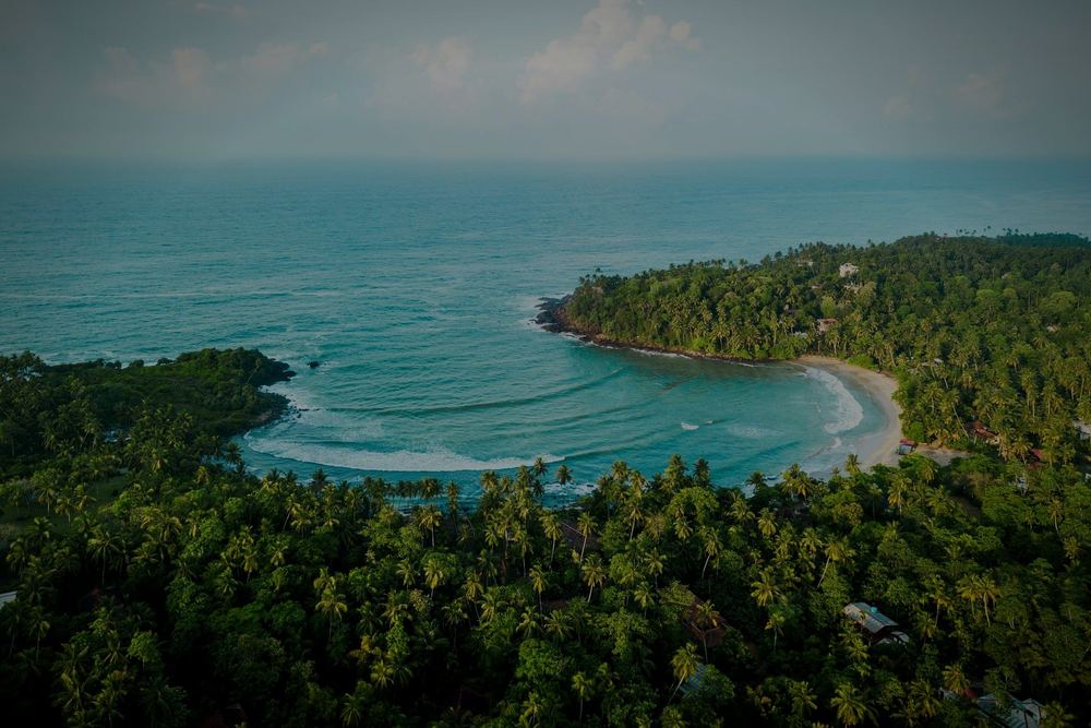 A curved bay from the air, a palm covered headland and turquoise water.