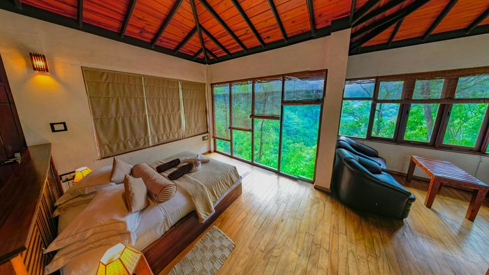 A bedroom with timber floors and a wall of windows onto green forest.