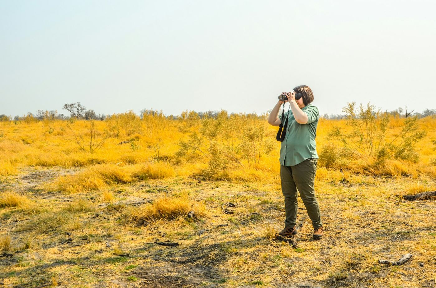 A guide raising binoculars in a field of golden grass.