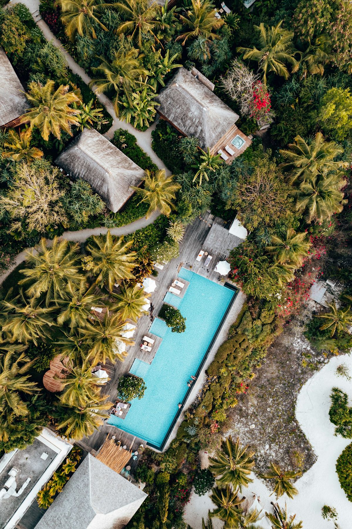A turquoise pool and thatched pavilions hidden among palms, photographed from directly above.