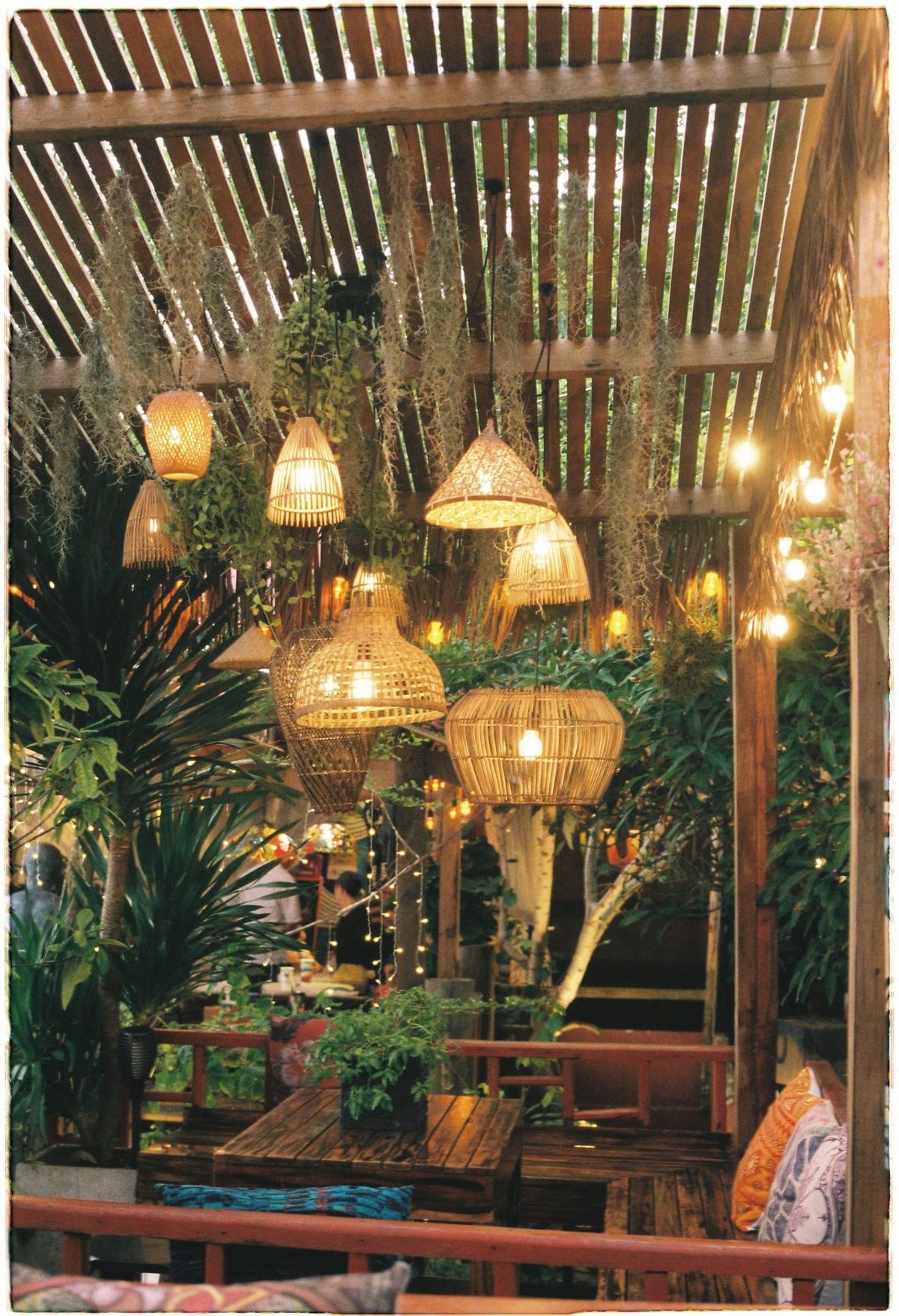 Woven lanterns lit under a slatted roof, plants and tables below them.