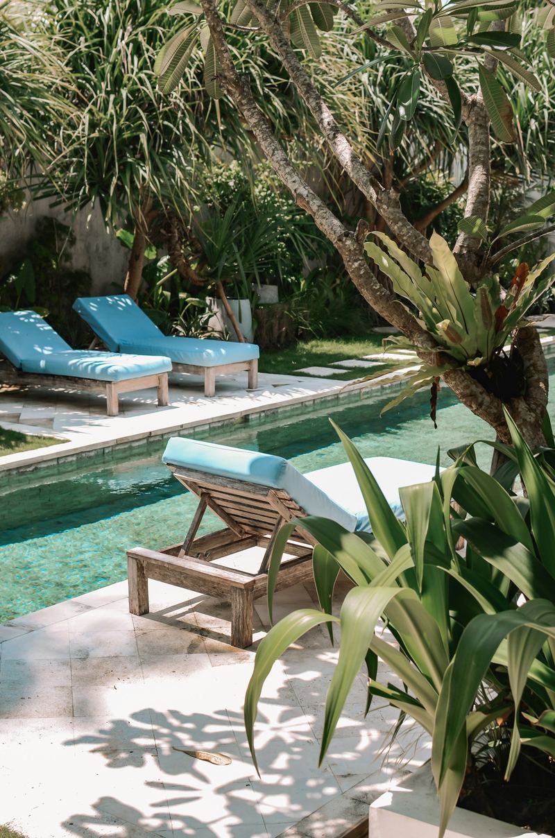 Blue cushioned loungers beside the pool among ferns and palms.