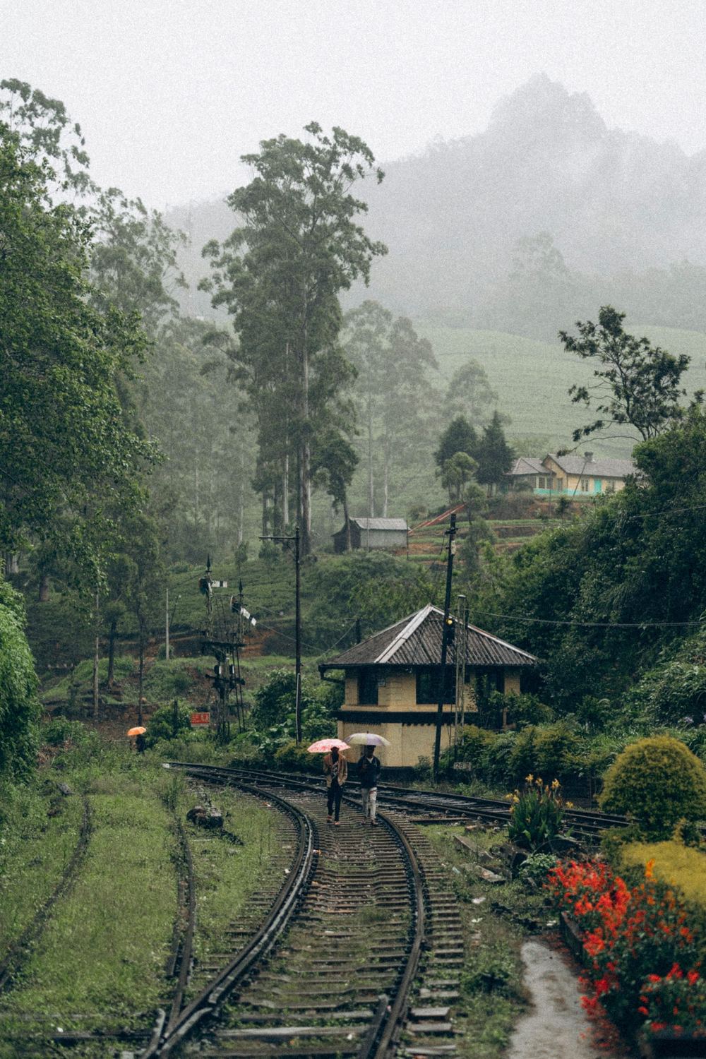 A small hill country station in the mist, the line curving past it through the trees.