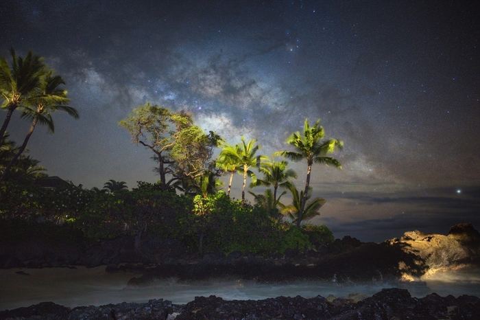 The Milky Way over palms and a dark shoreline.