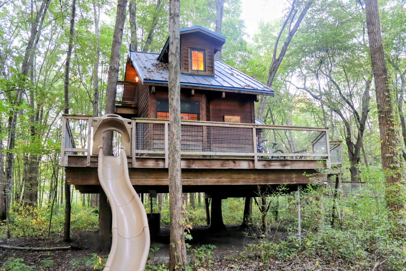A timber treehouse raised among tall trees, a curving slide running down from its deck.