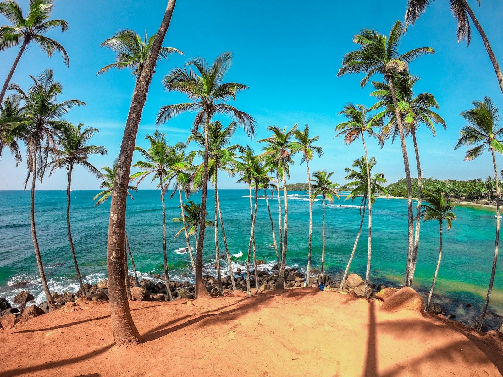 Tall coconut palms on a red earth headland above a turquoise bay at Mirissa.