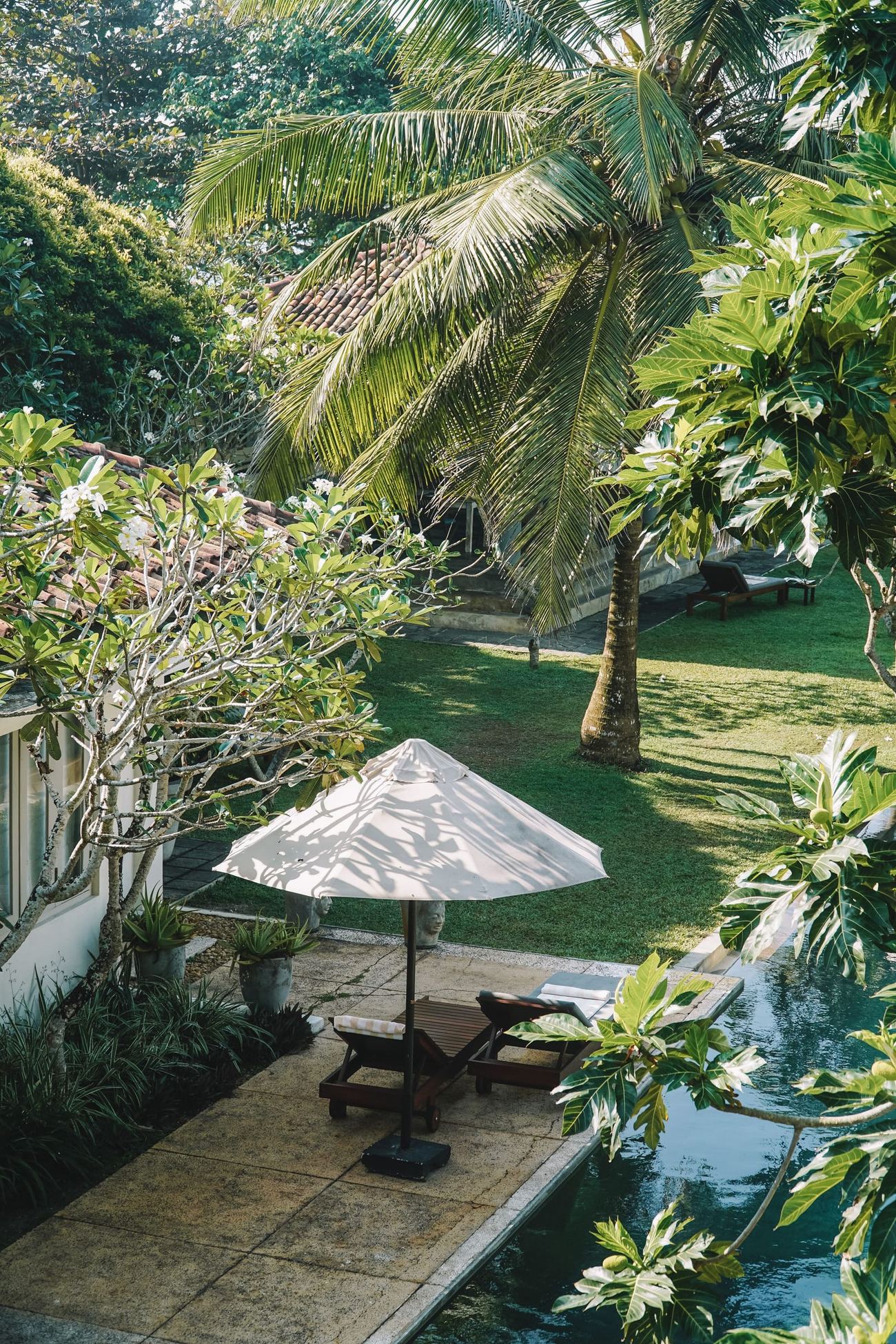 A lawn under frangipani and coconut palms, a white parasol at the pool’s corner.