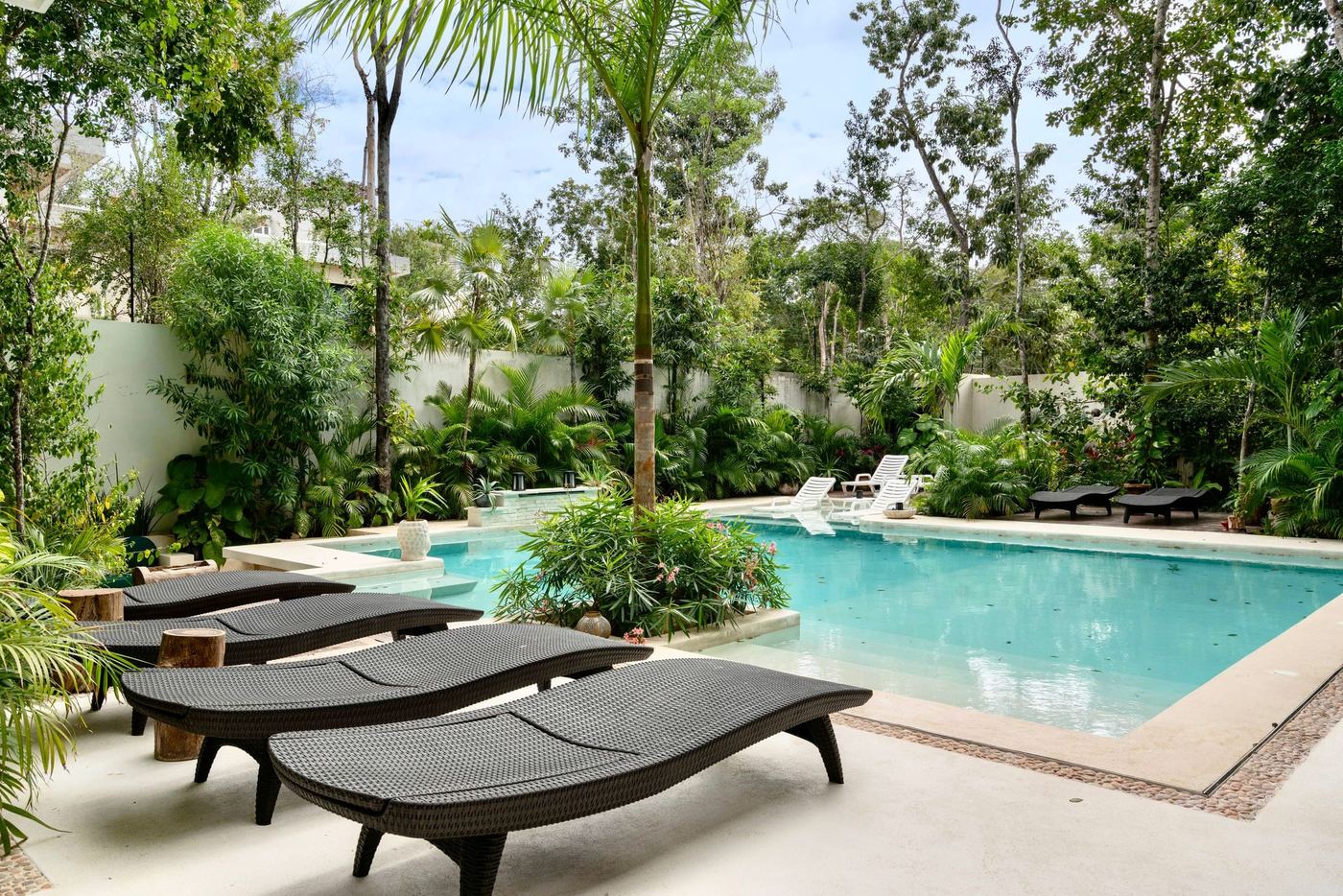 A pool with dark loungers along its edge, palms and shrubs all round.