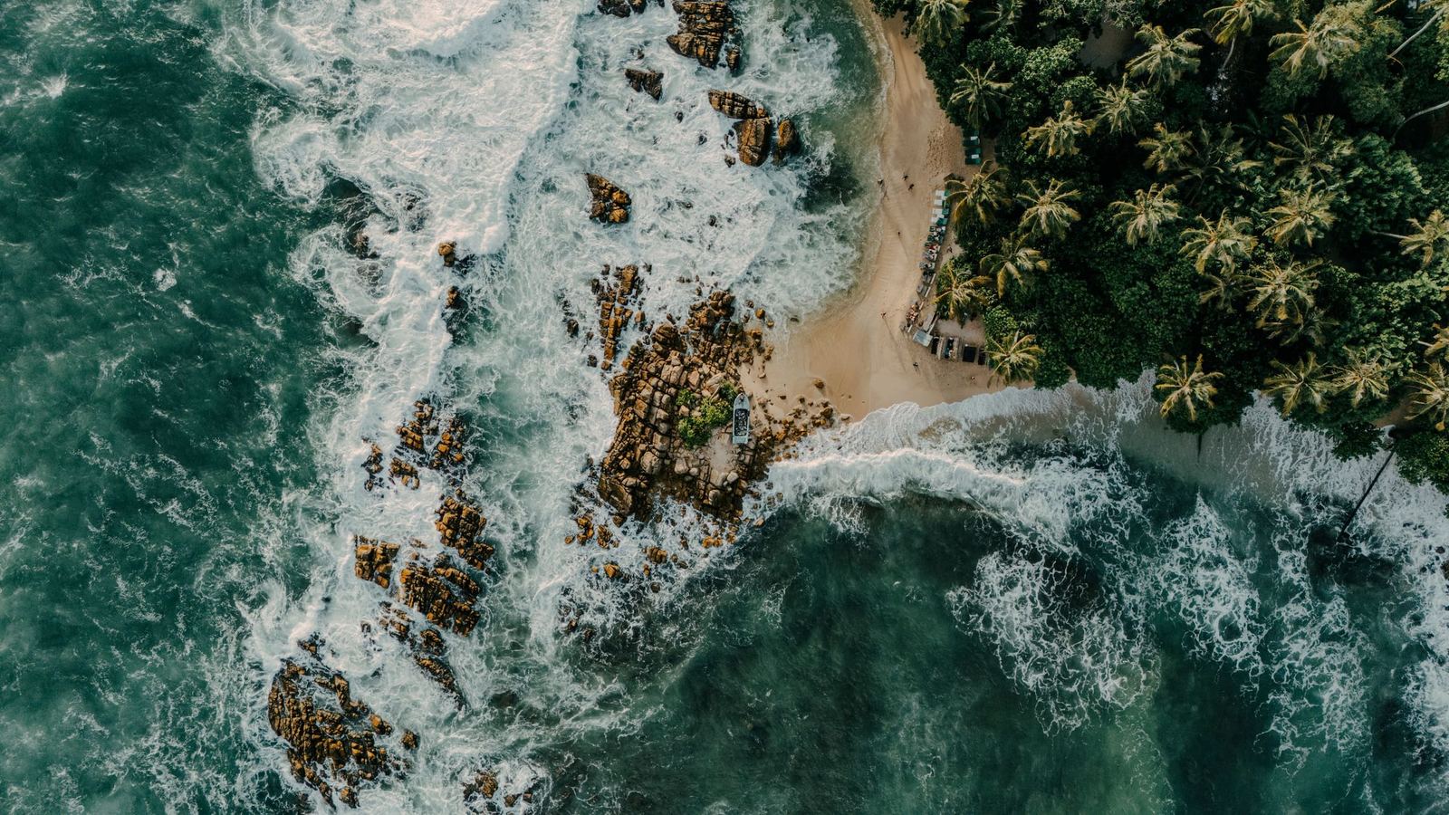 The reef from above: surf breaking white over dark rock and sand, palms at the water's edge.