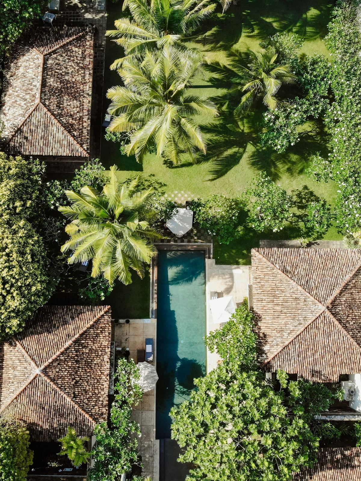Wella House from above: a long lap pool running between two tiled roofs, palms and garden on either side.