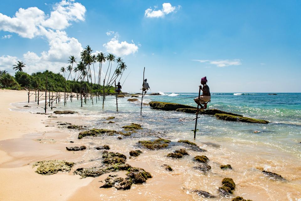 Stilt fishermen perched on wooden poles in the shallows off a palm lined beach.