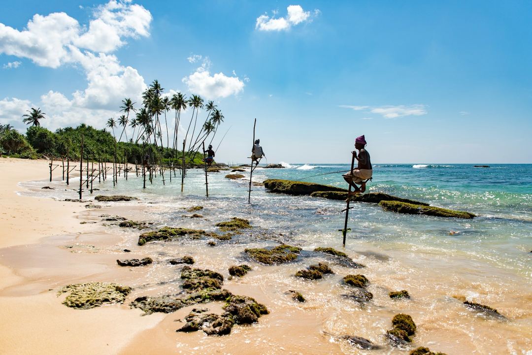 Stilt fishermen perched on wooden poles in the shallows off a palm lined beach on the south coast.