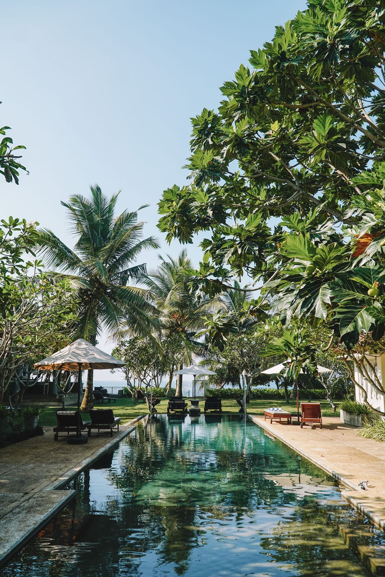 A long pool under palms, the trees reflected in still water.